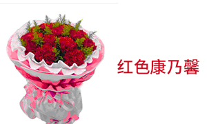 红色康乃馨 精美花束