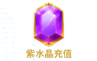 紫水晶充值 多玩交友充值 [自动发货]