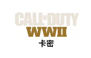 PC正版 激活码  steam中文使命召唤14二战cod14 Call of Duty:wwii豪华季票全球版 [自动发货]