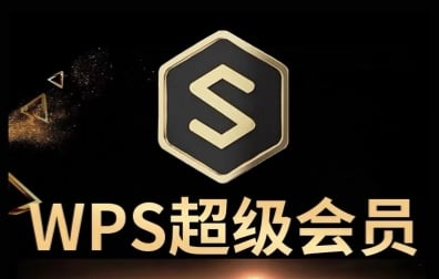 WPS超级会员卡月卡年卡代充值