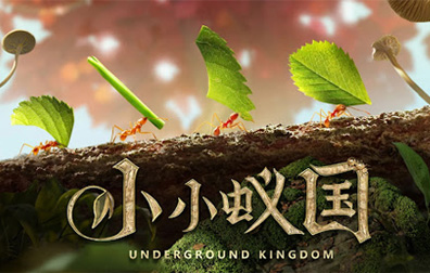 小小蚁国The Ants直充，小小蚁国代充值，The AntsID直充，小小蚁国，The Ants