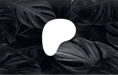 Patreon礼品卡，Patreon 礼品卡，Patreon代付，Patreon代订阅，Patreon代购，Patreon赞助代付，代购Patreon