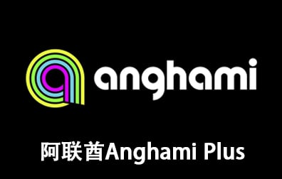 阿联酋Anghami礼品卡，Anghami Plus Gift Card，Anghami充值卡密，Anghami会员