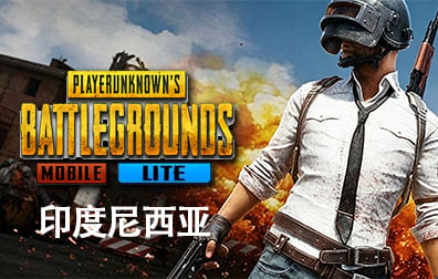 印度尼西亚绝地求生轻量版手游代充值，PUBG mobile Lite国际服手游代充值，绝地求生M ID