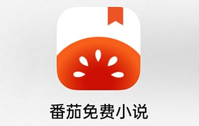 番茄小说会员SVIP代充值，番茄免费小说会员SVIP代充值