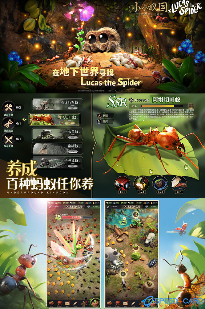 小小蚁国The Ants代充值 [人工代充]简介- Speed4Card专业充值平台