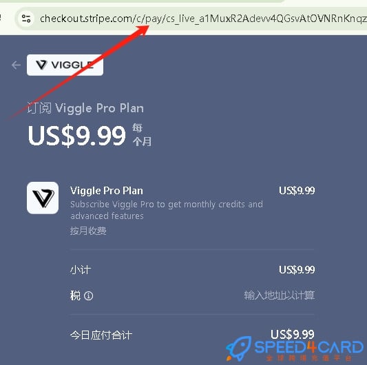 Viggle  AI代购代付订阅AI [人工代购]怎么支付？- Speed4Card专业充值平台