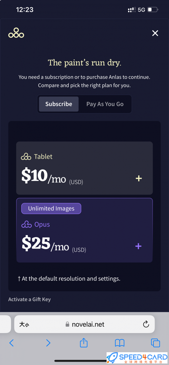 NovelAI代购代付订阅AI 套餐- Speed4Card专业充值平台